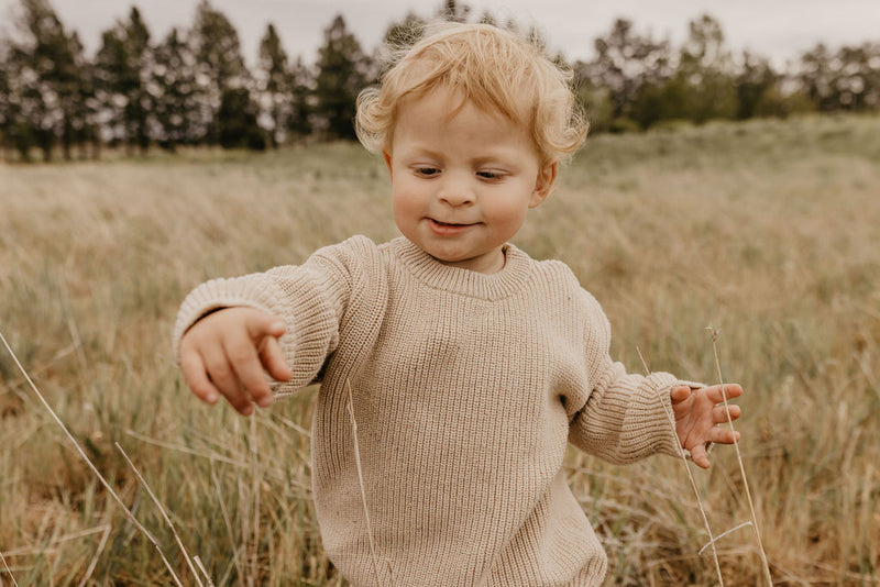 Classic Knit Sweater | Speckled Wheat